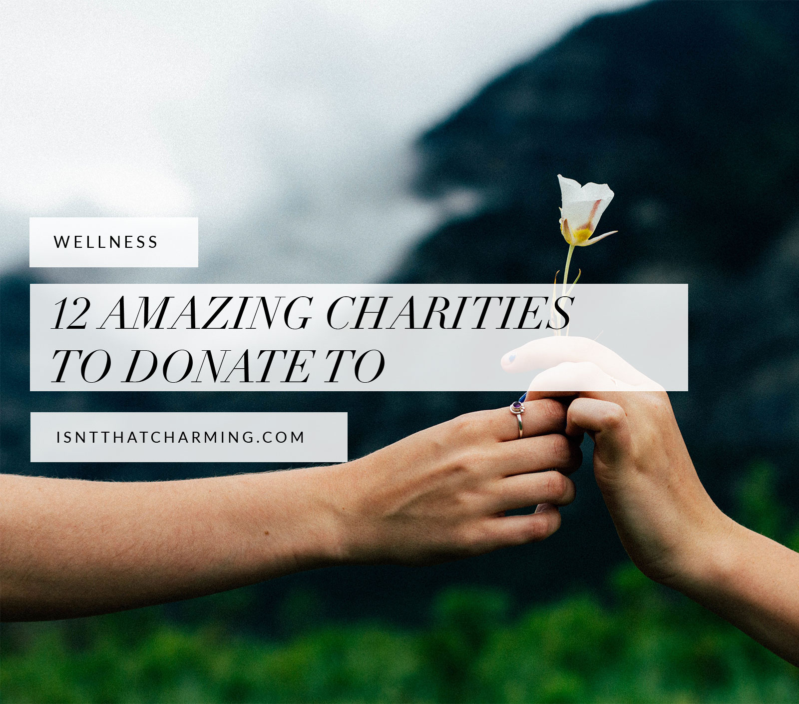 charities to donate to