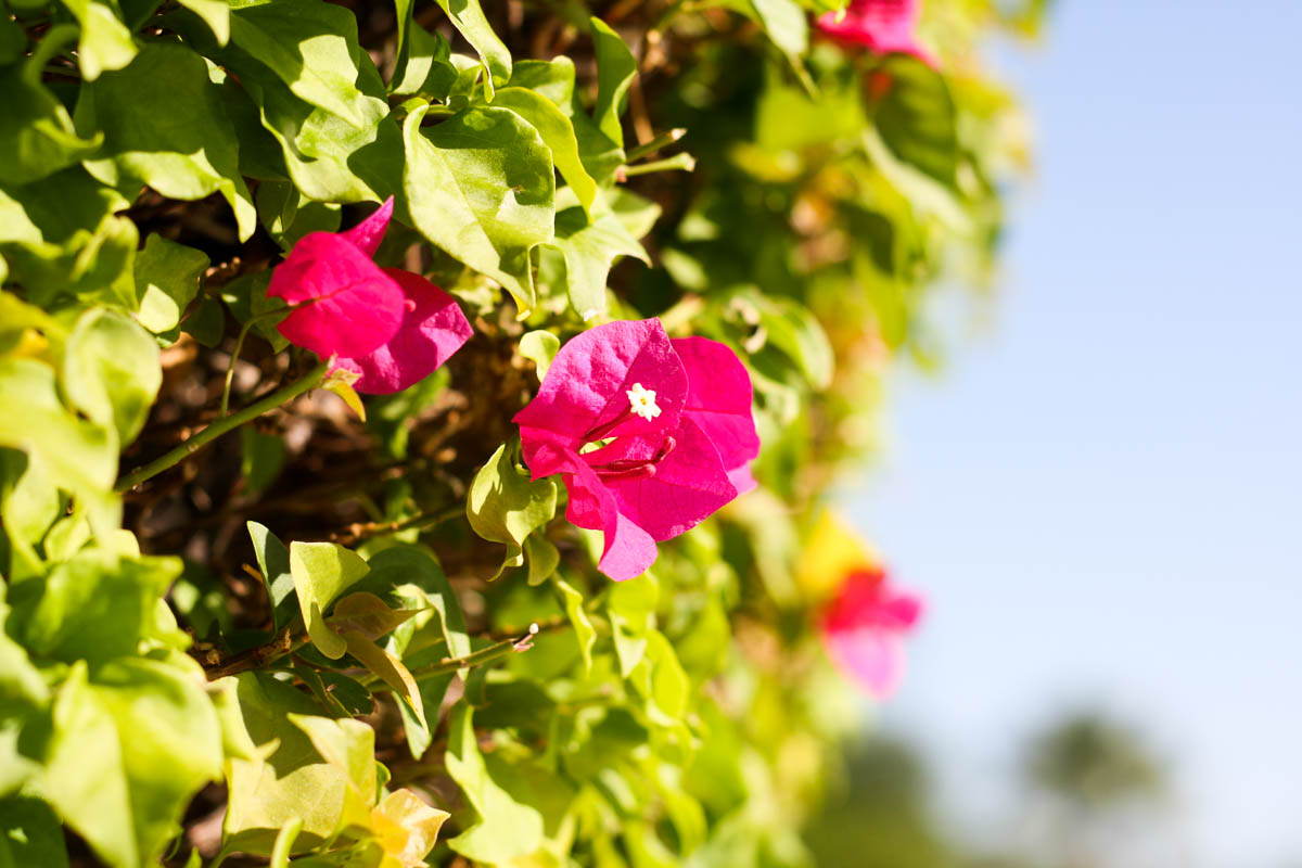 5-reasons-why-women-need-girls-weekends_palm-springs-travel_14