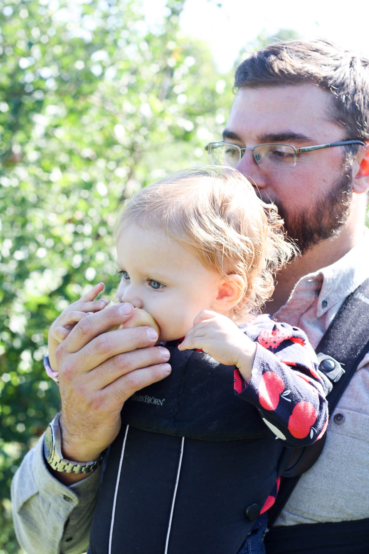 apple-orchard-day-15