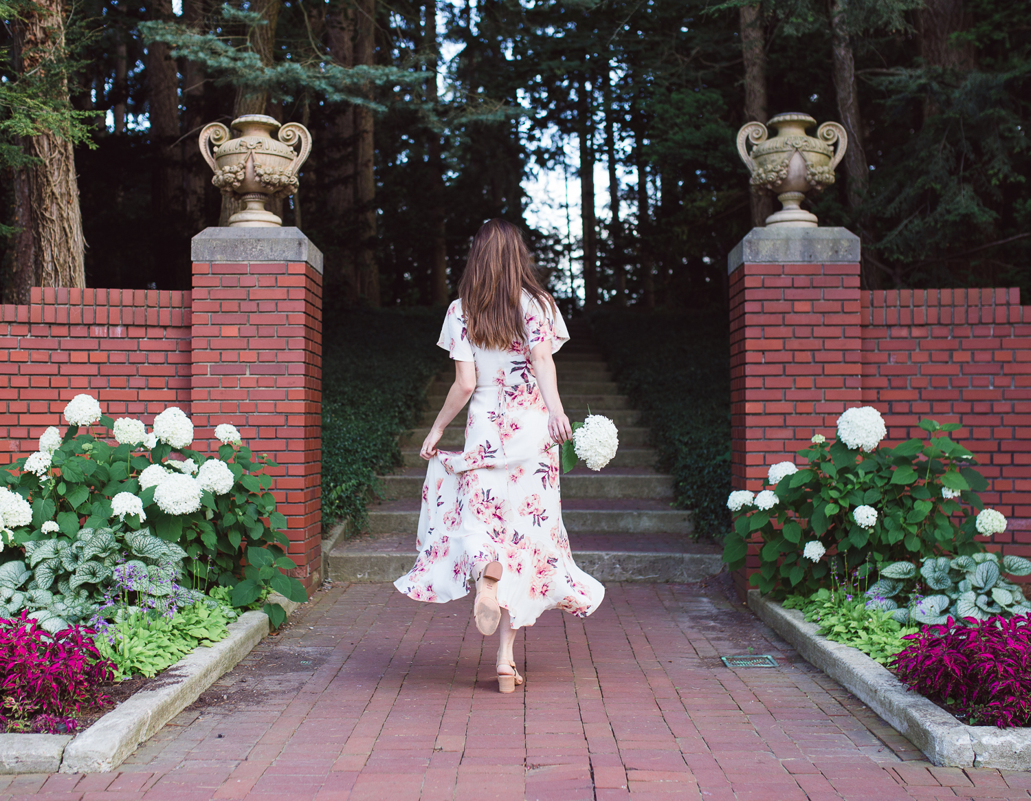 New Entrepreneurial Career