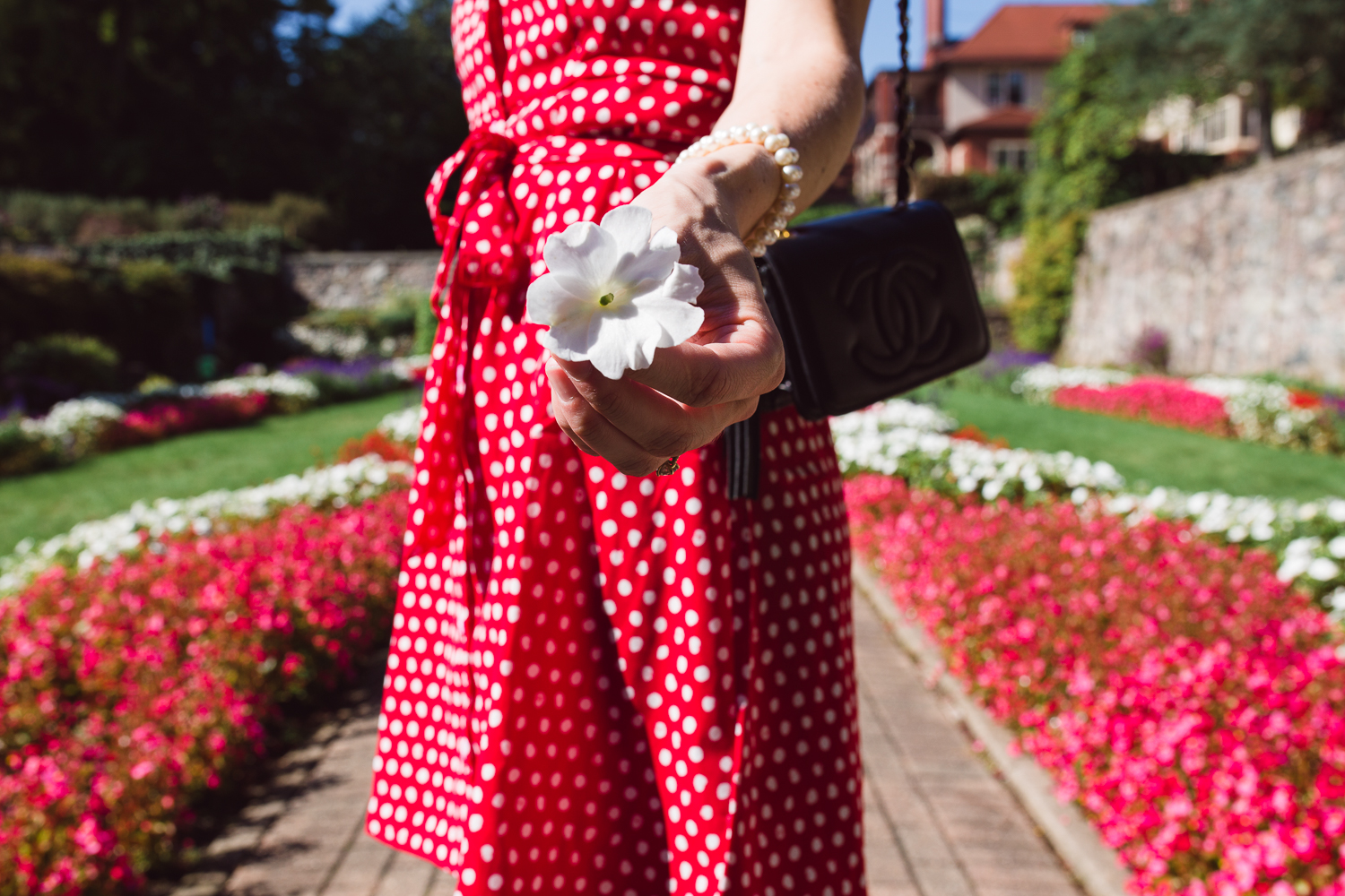 Dress: Women's Polka Dot Printed Dress via the Vital Voice + Target Collaboration
