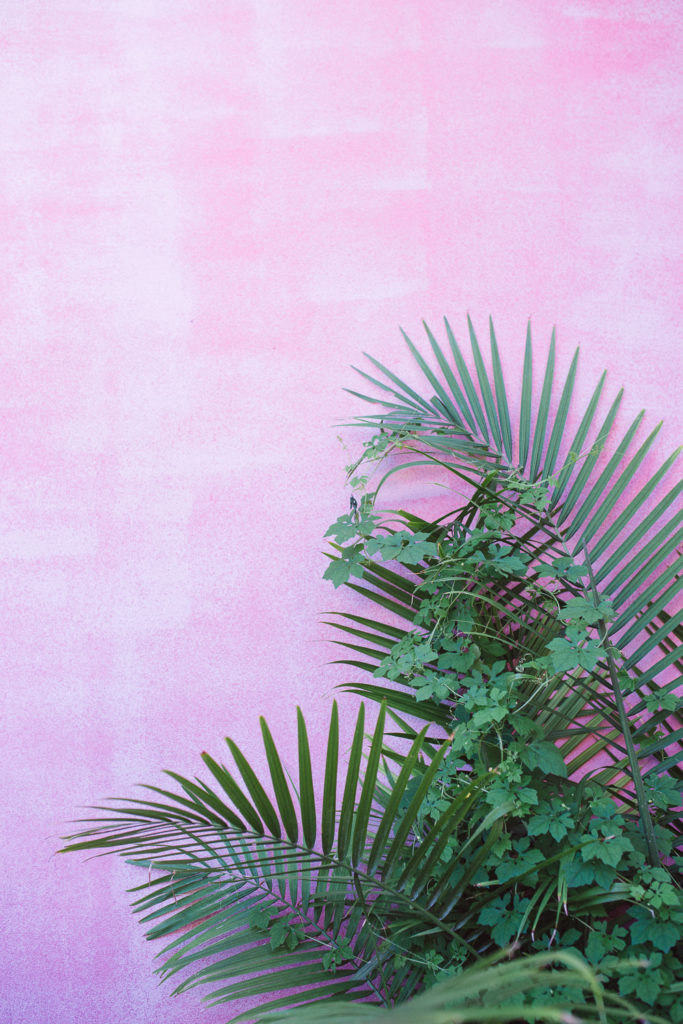 This color combination is on point!