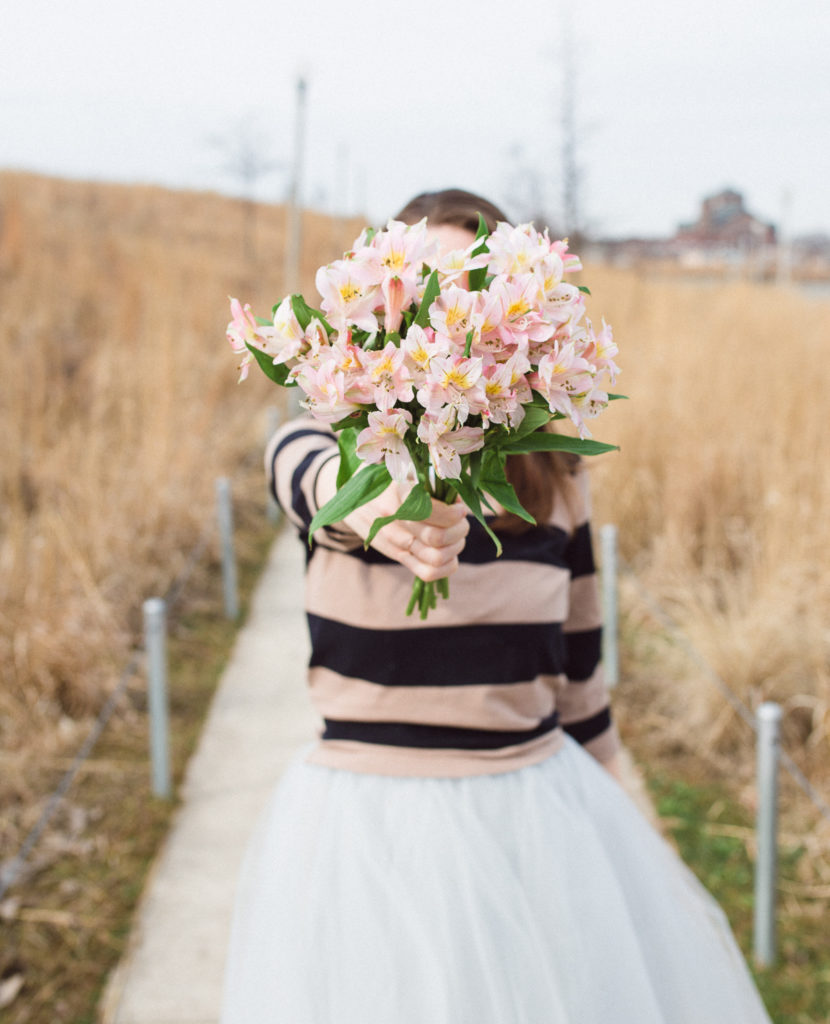 Bouquet of pink flowers, start of spring