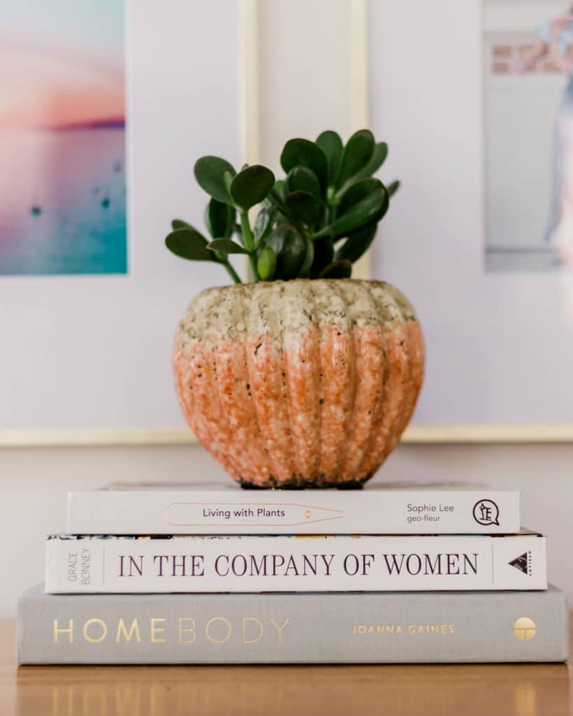 Jade plant, stacked books, styling with books