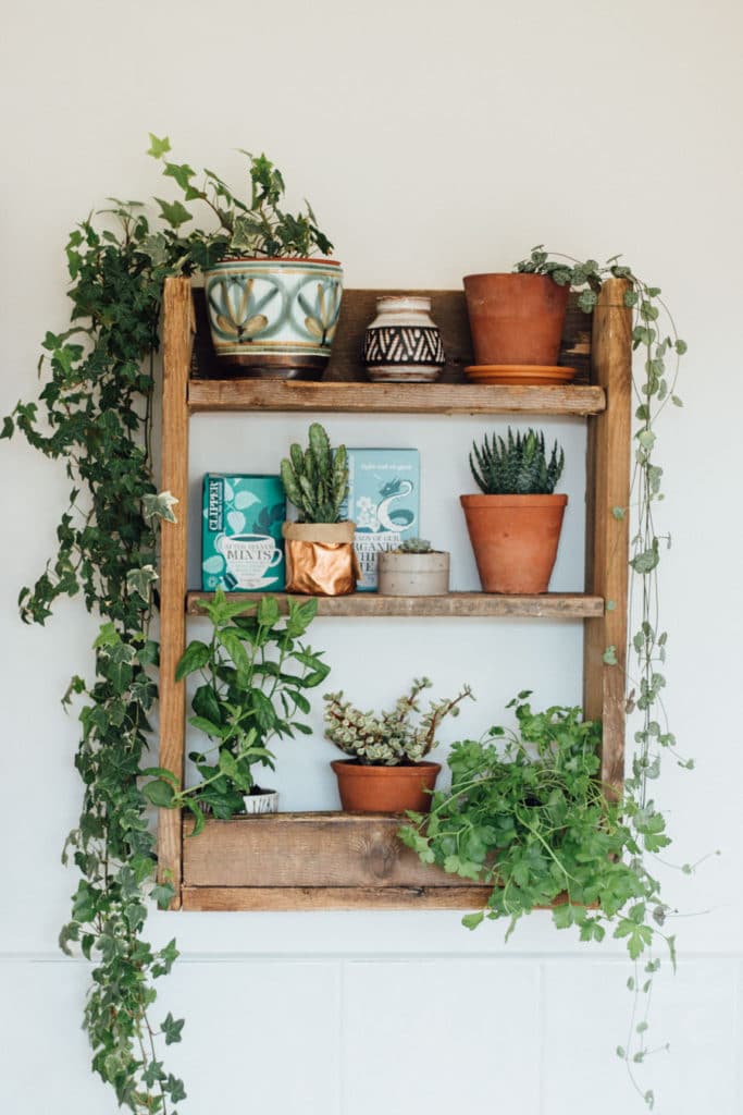 Greenery on a bookshelf, Adding greenery to a shelf