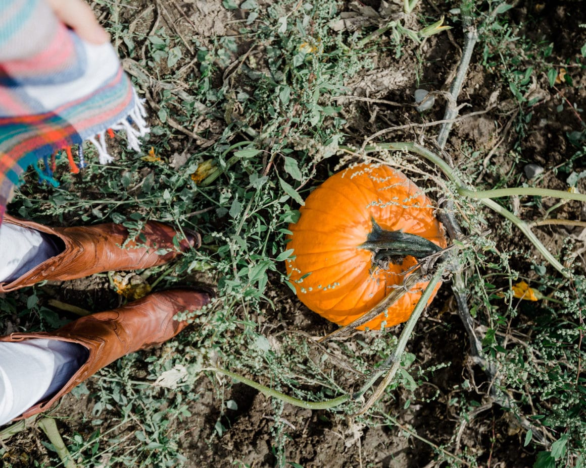 Cowgirl boots and a pumpkin patch Cowgirl boots and a pumpkin patch