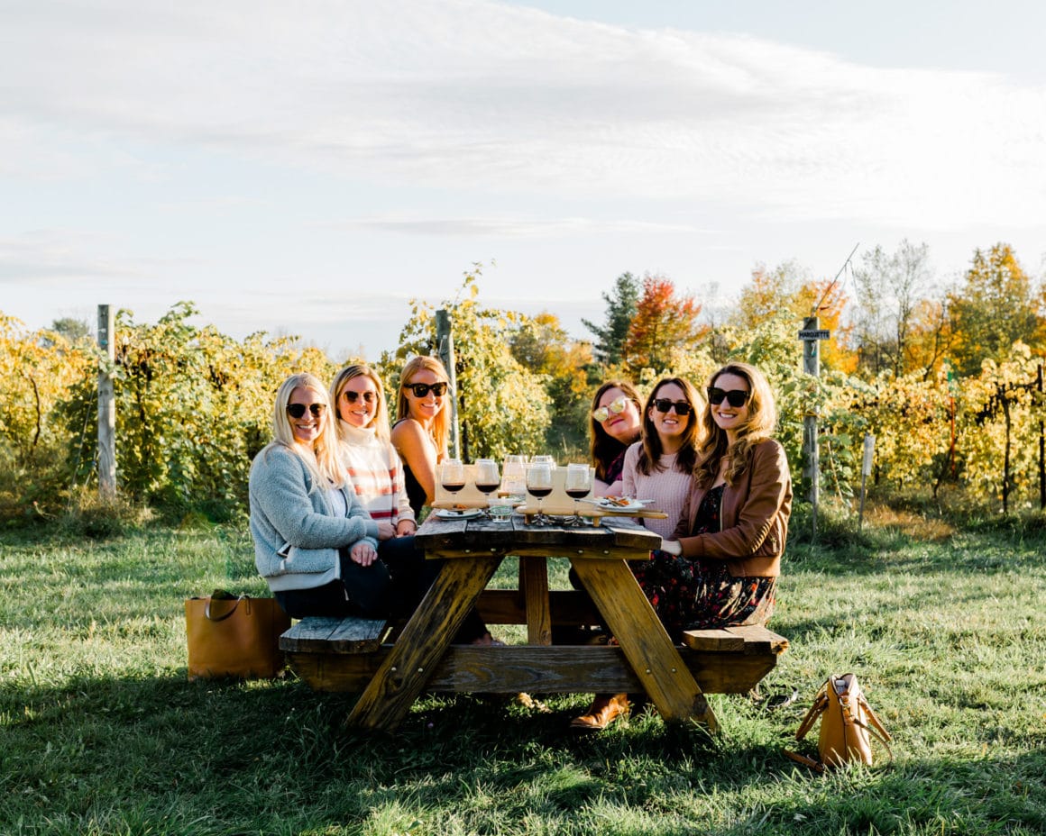 vineyard in Burlington VT vineyard in Burlington, VT