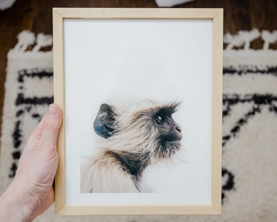 monkey print from Minted monkey print from Minted