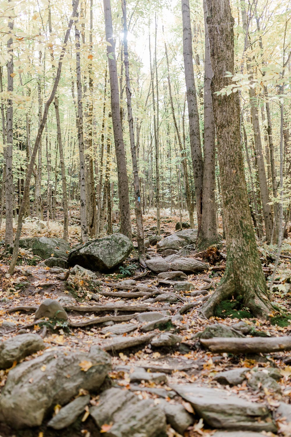 best hikes in Burlington