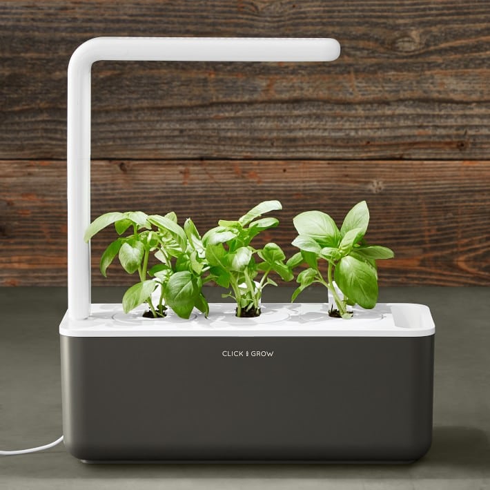 Charming Picks For The Home