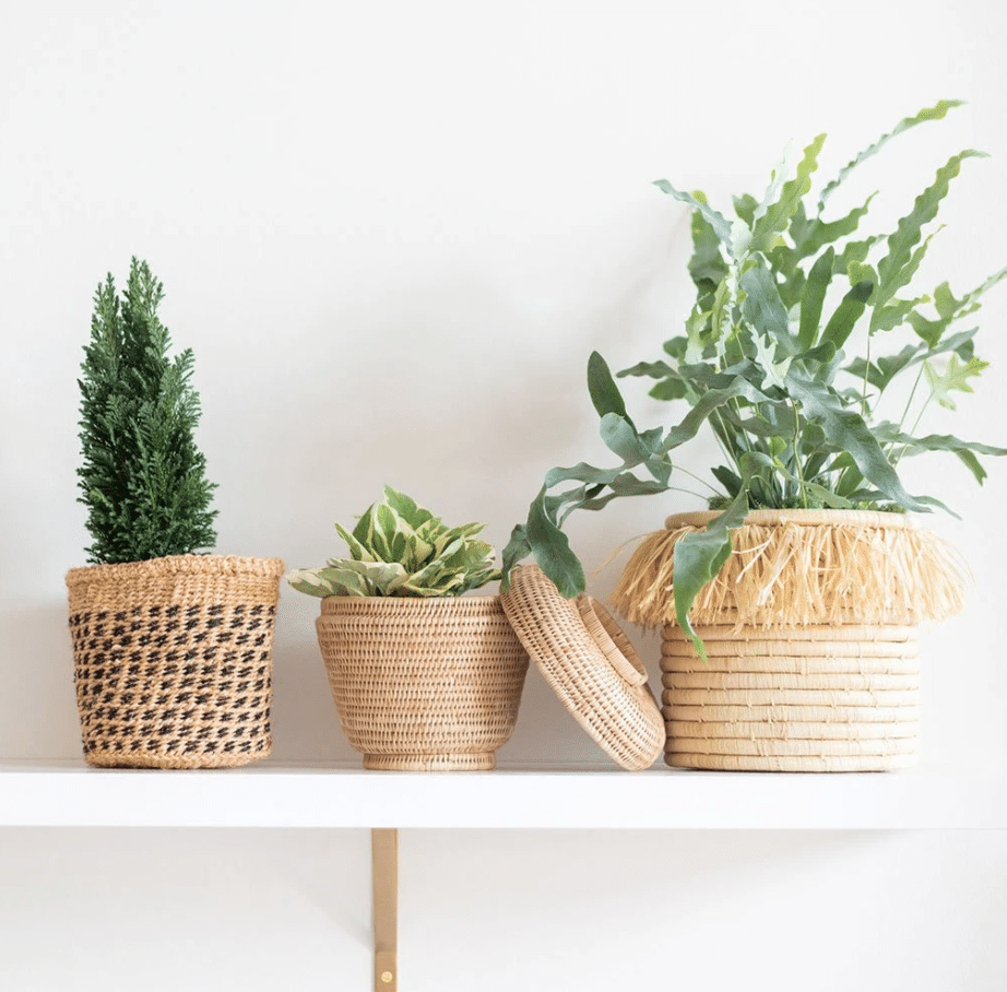 Rattan Lidded Basket